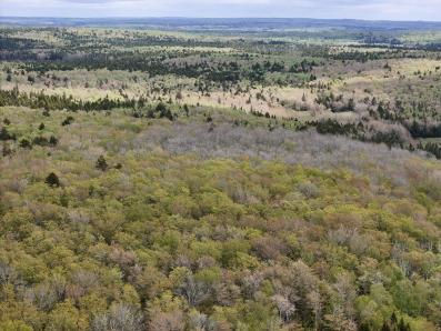 Hardwood Hill Area