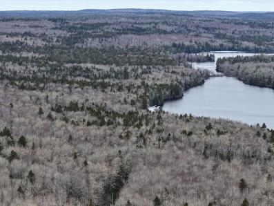 Lake View North