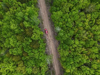 Logging Road Cut 2