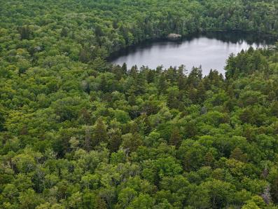 Palmer Lake