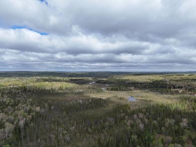 Wentzell Bog