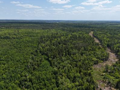 Gully Lake Harvest Plan Area