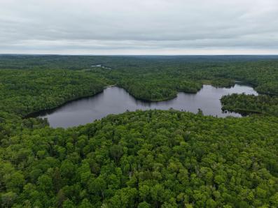 North of North Twin Lake