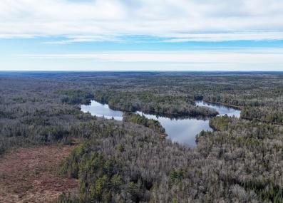 SE of South Twin Lake (November)