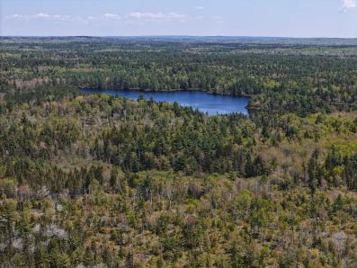Fox Lake Area