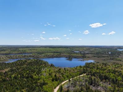 Peter Lake Area