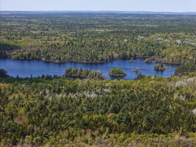 Shell Camp Clear Cut Areas