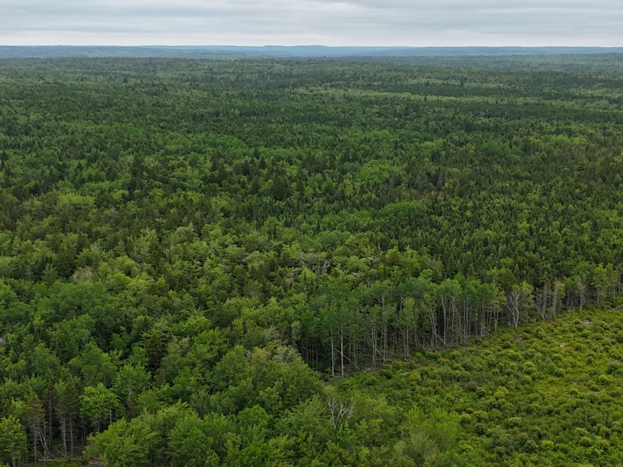 default