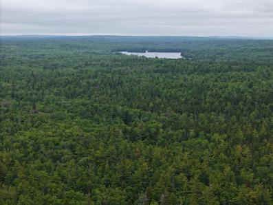 Lower Sixty Lake and Crown Land