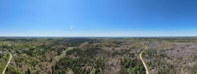 Burned and Cleared Area